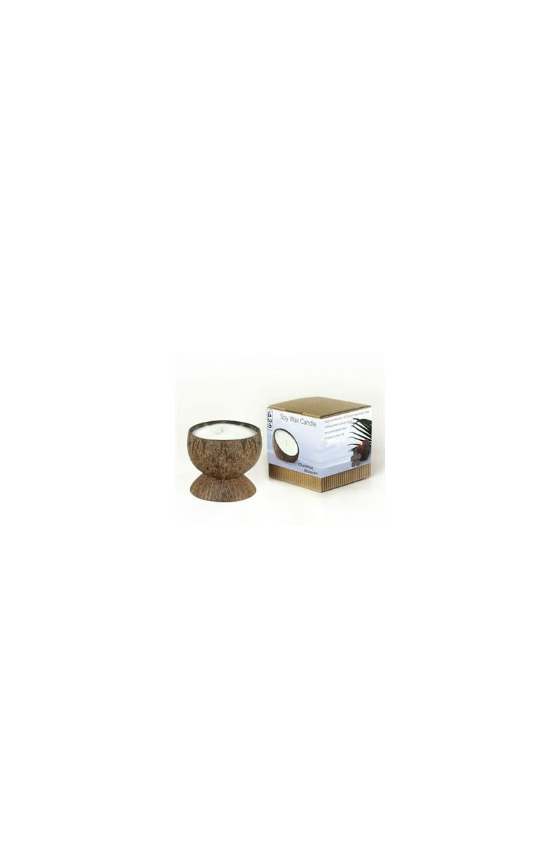 soy wax candle - lemongrass