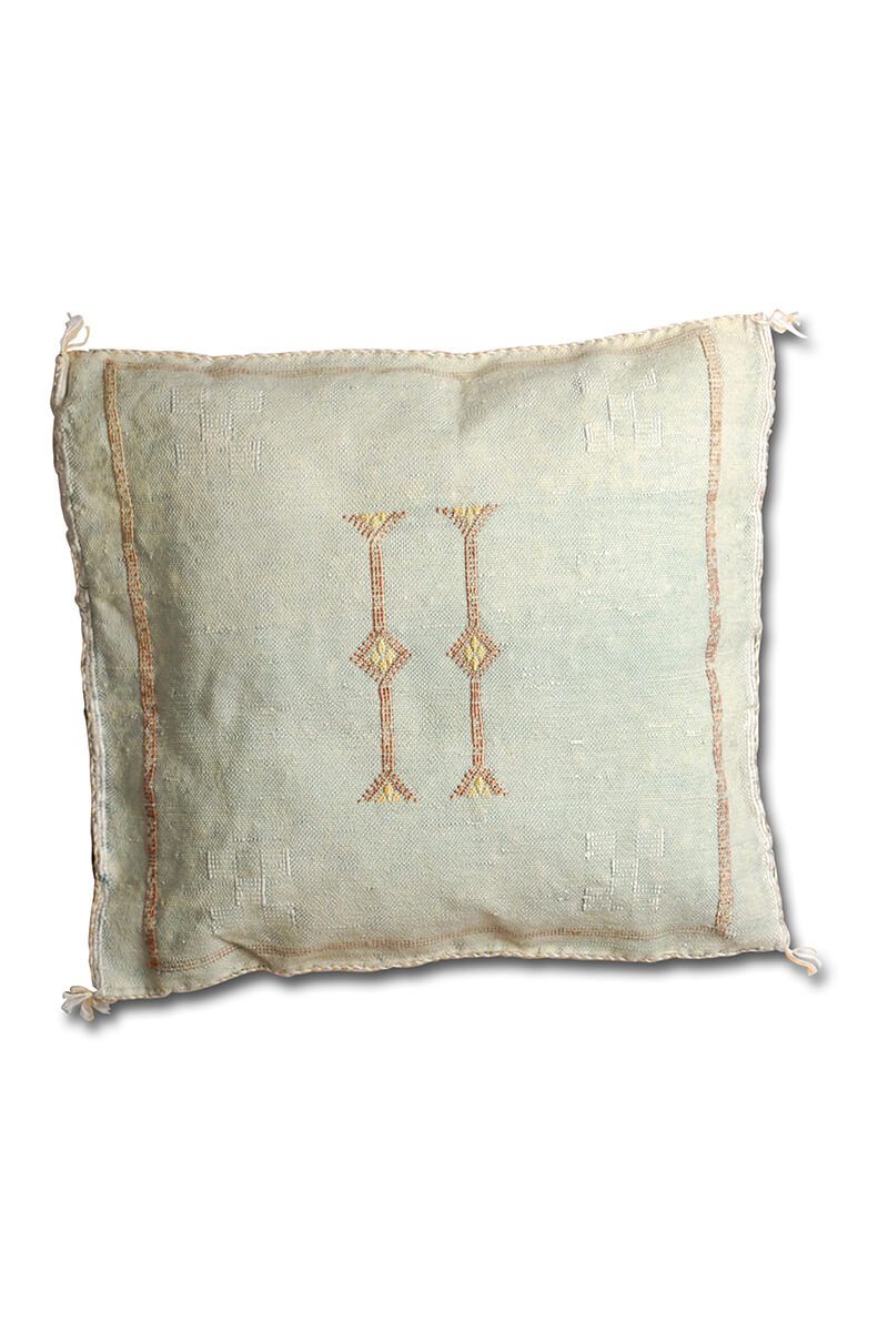 Cactus silk pillow