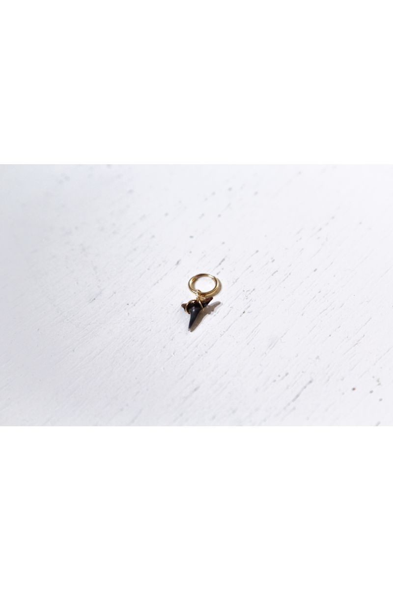 shark tooth (black) earring - gold
